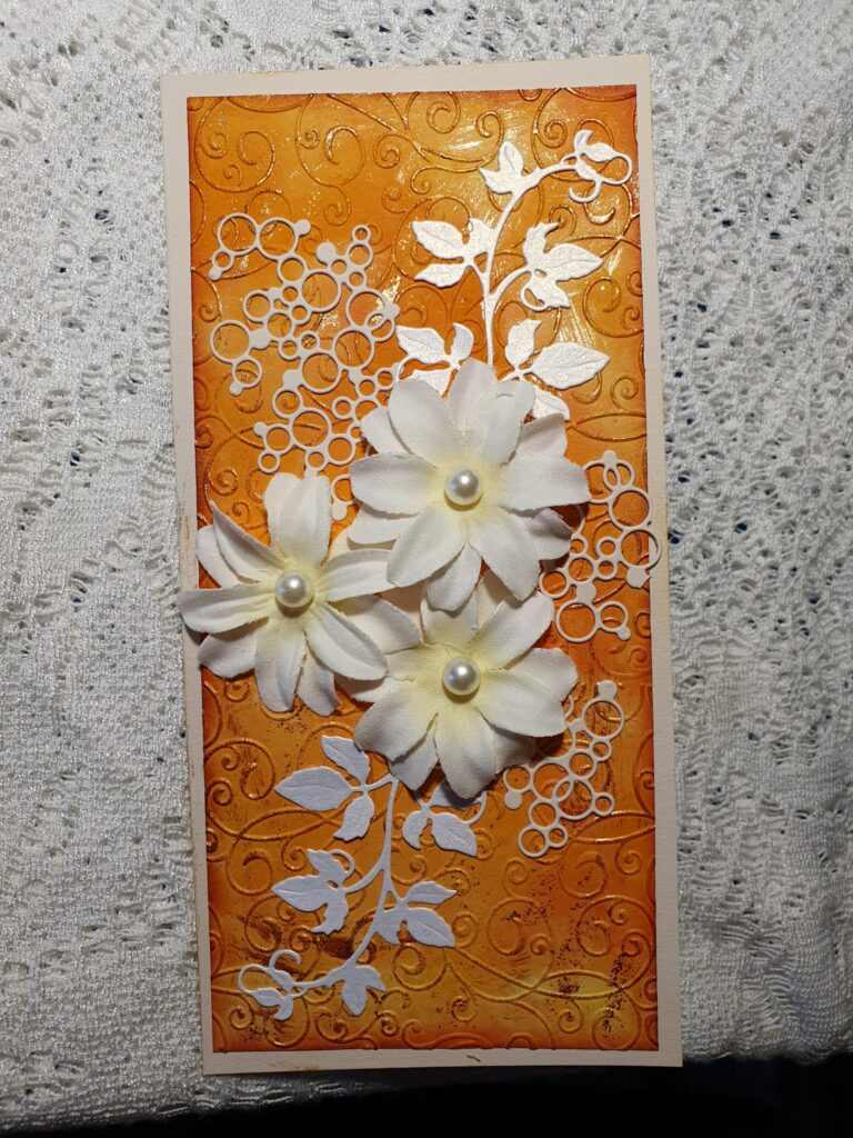 20200305 112303 scaled.jpg